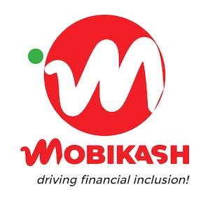 Fintech professionals using the MobiKash platform
